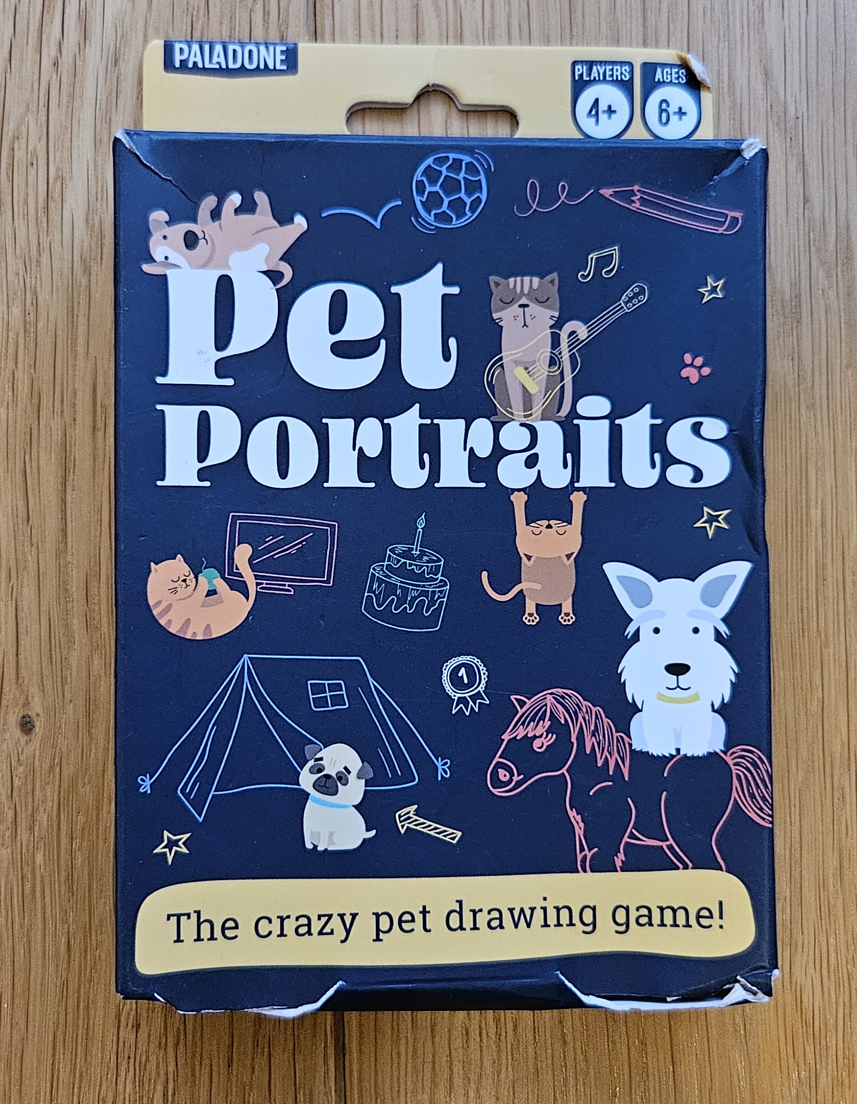 Pet portraits