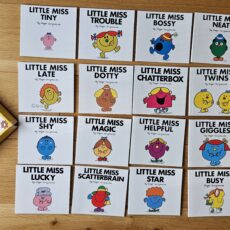 The Little Miss Collection