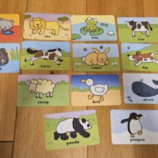 Flashcards ze zwierzątkami
