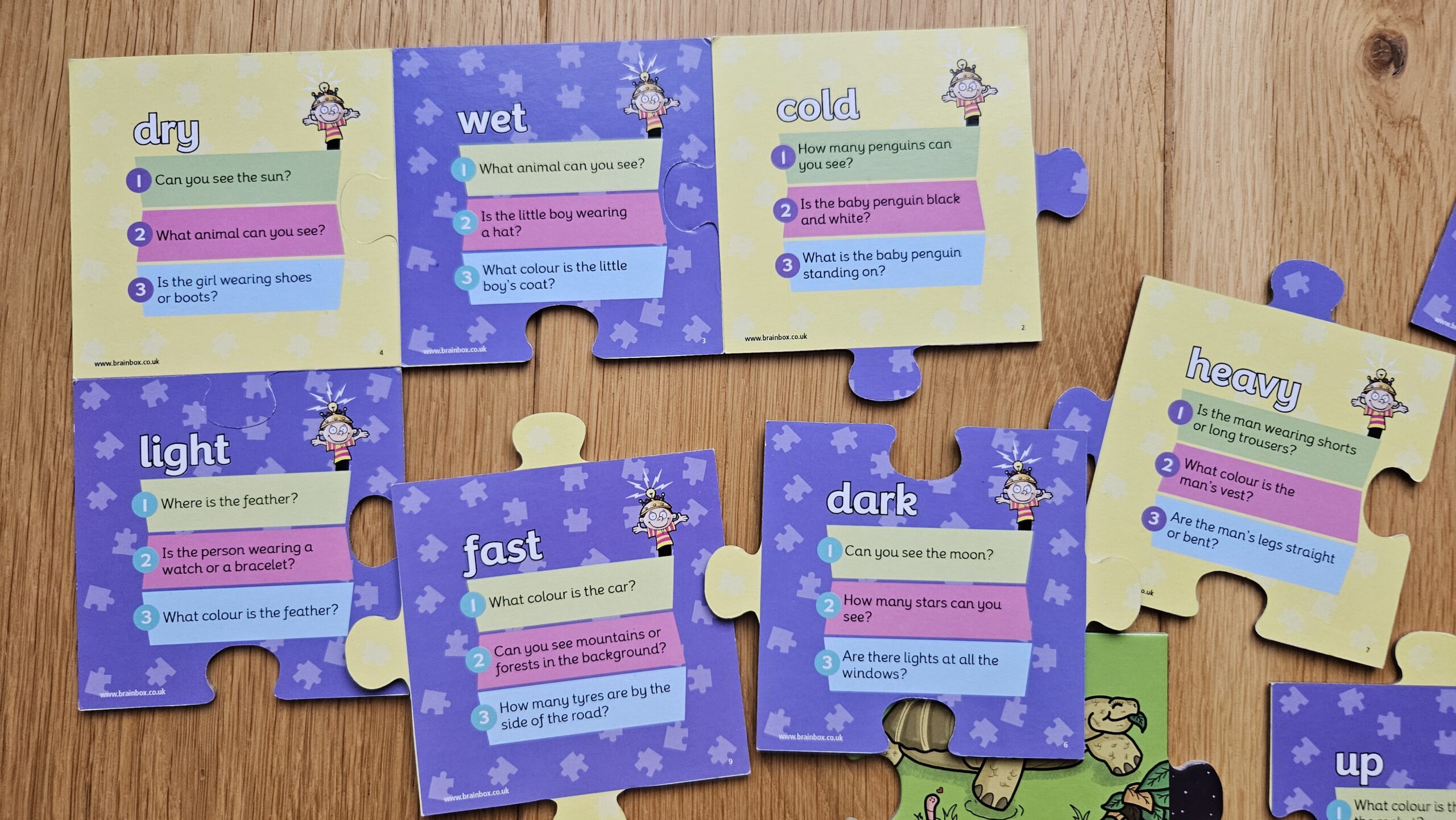 Brainbox opposites jigsaw - obrazek 3