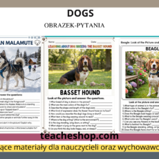 Zestaw kart pracy o psach - pytania do obrazka