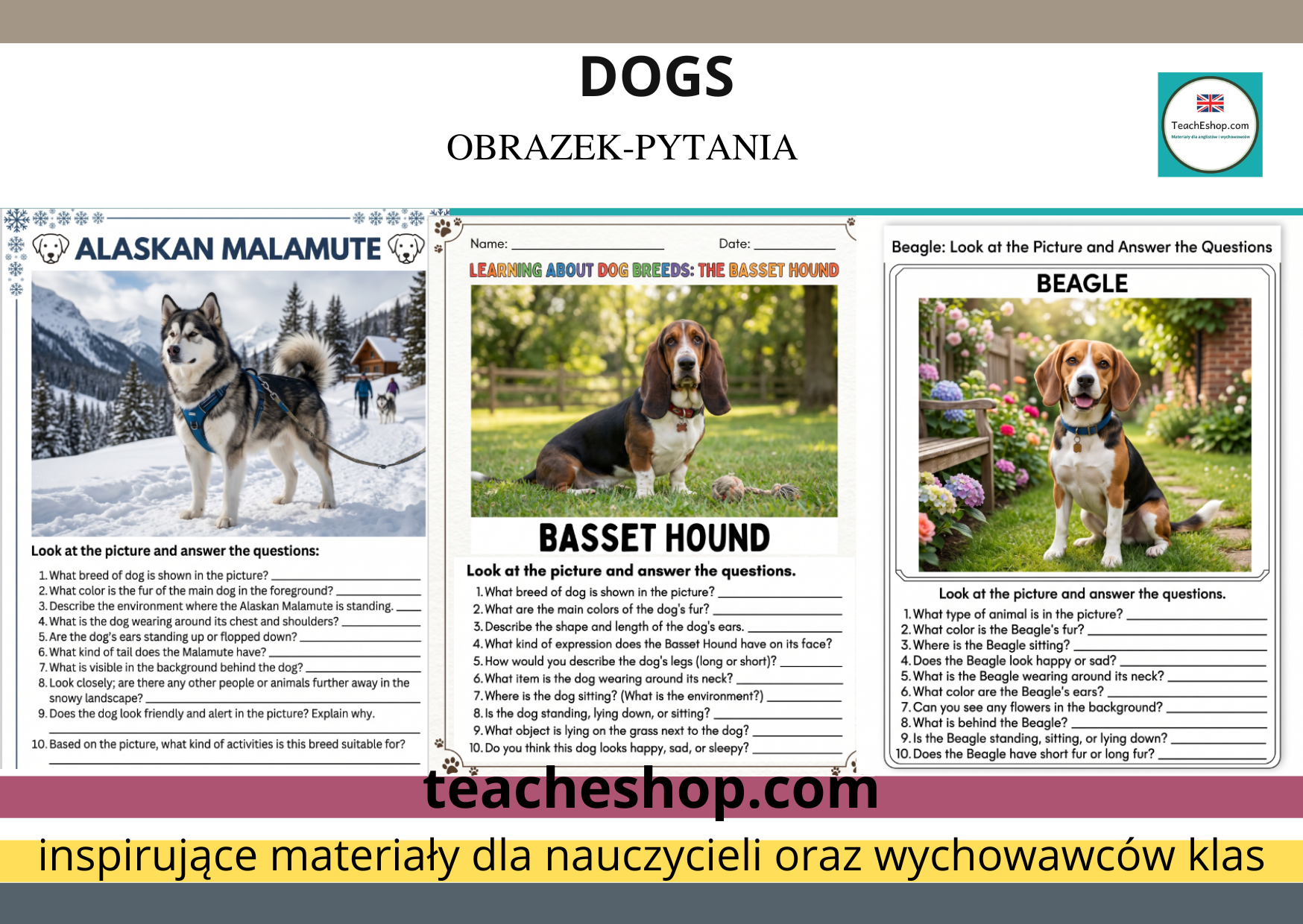 Zestaw kart pracy o psach - pytania do obrazka